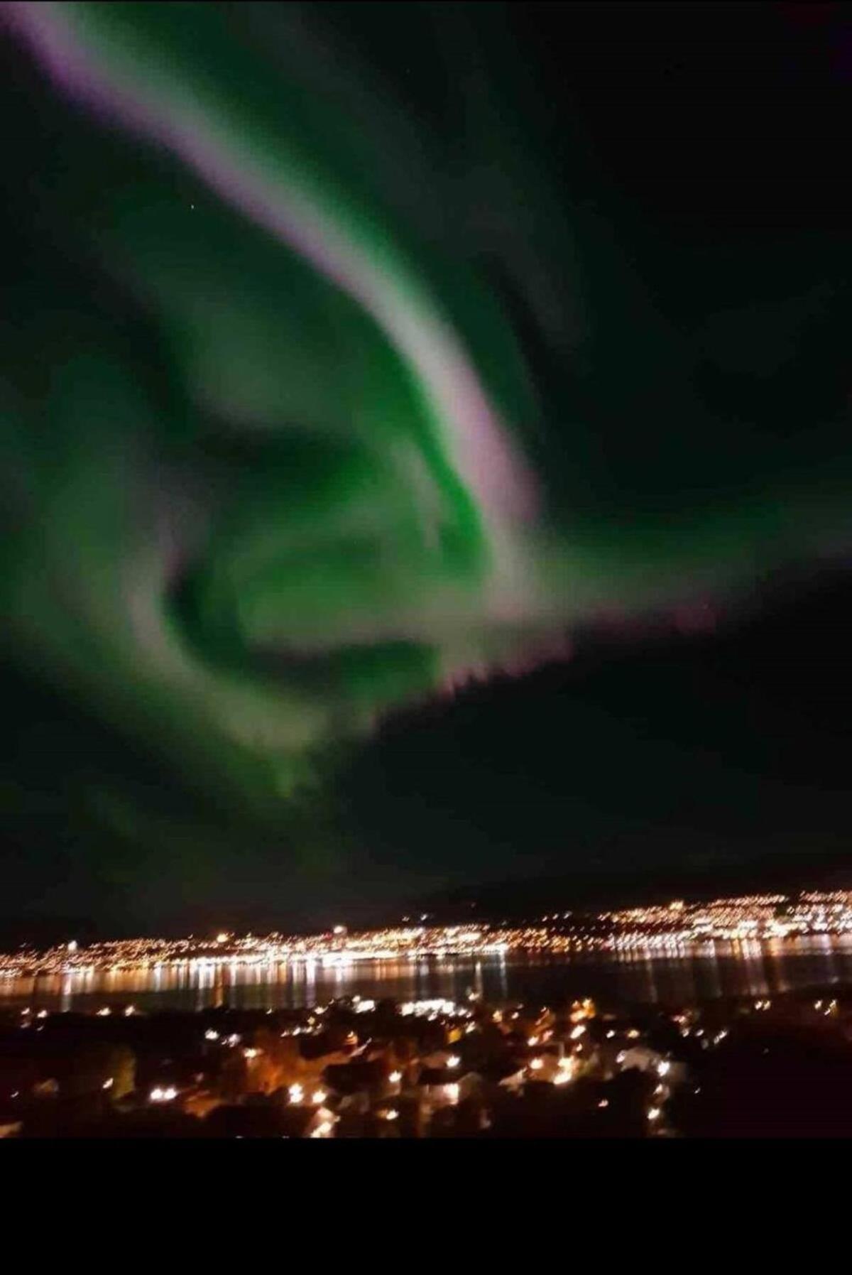 Miracle Tromso, Cozy Double Bed Private Room In A Shared Apartment With Stunning Tromso Views Extérieur photo